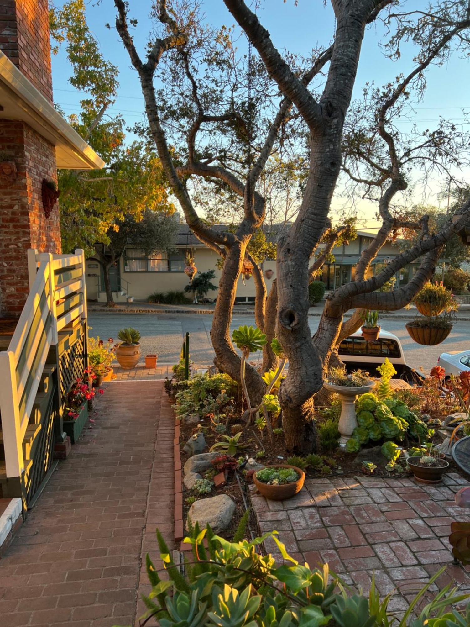 Carmel Garden Inn Buitenkant foto